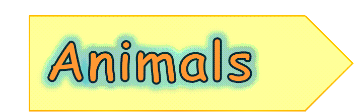 You are in Animals