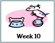 Click here to go to Week 10 Child booklet