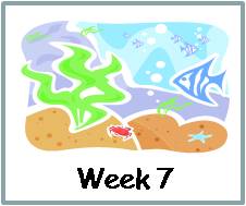 Click here to go to Week 7 Child booklet